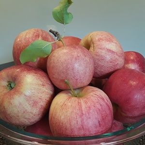 Meet your Posher, Jill